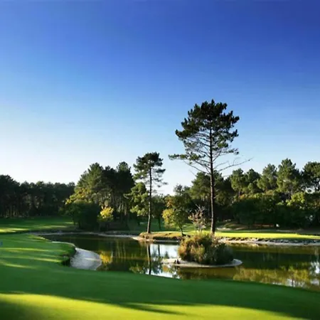 Renove Coeur De Seignosse, Animaux Acceptes, Parking Inclus - Fr-1-239-107