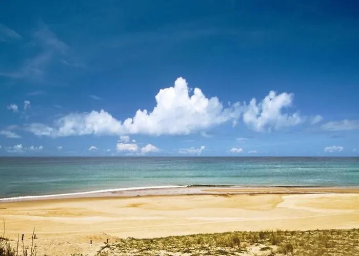 Rénové Cœur De Seignosse, Animaux Acceptés, Parking Inclus - Fr-1-239-107 Seignosse